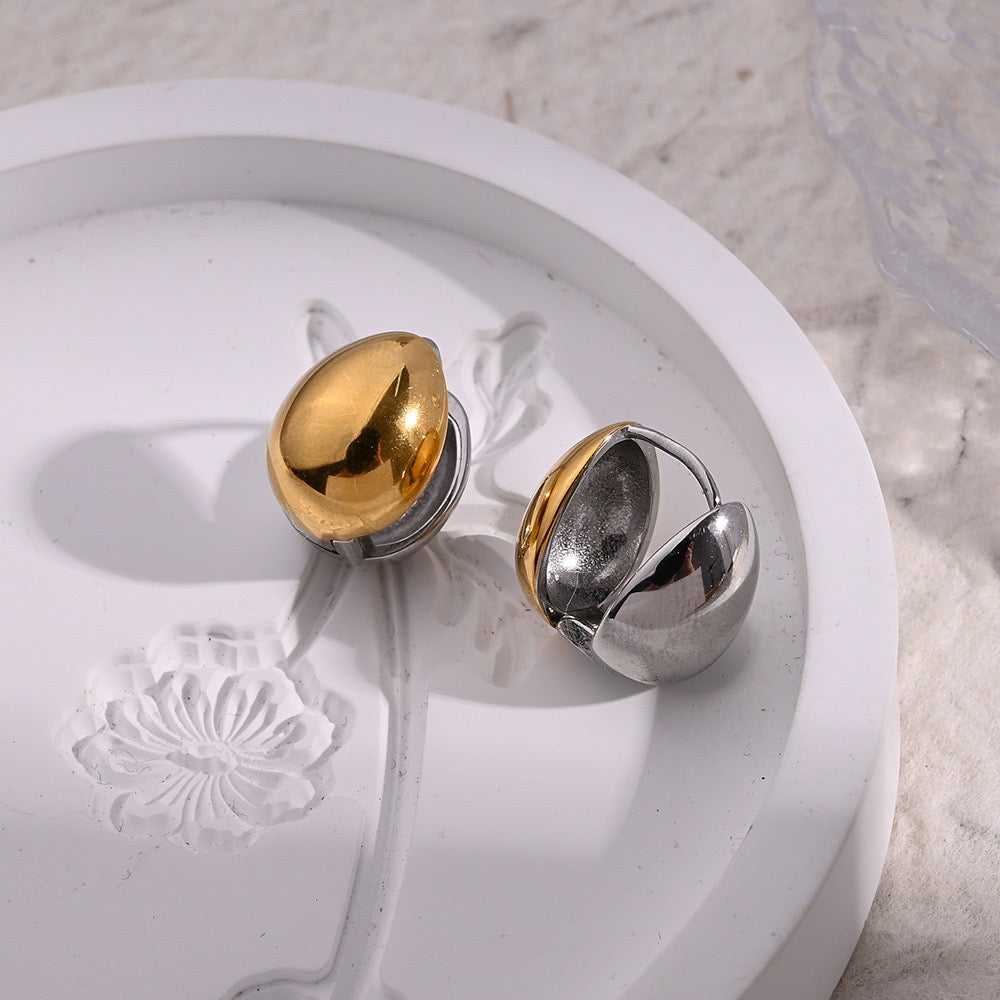 Dual Color Earrings