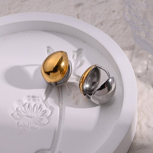 Dual Color Earrings