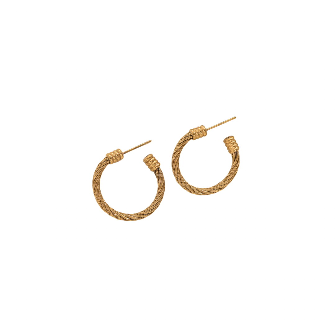 Luciana Hoops
