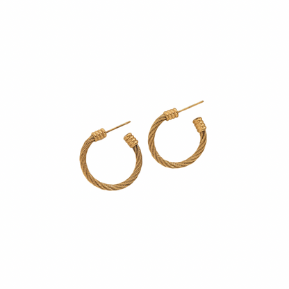 Luciana Hoops