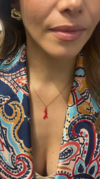 Little Red Arrecife