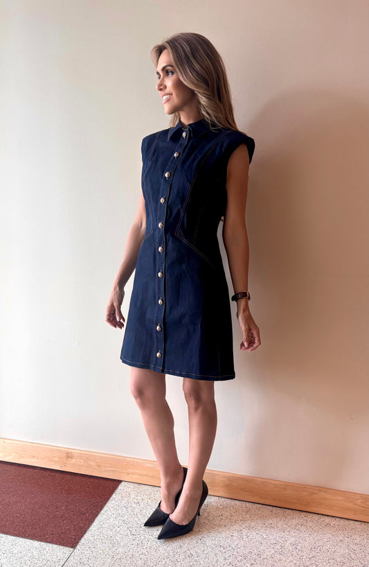 Classic Denim Muse Dress