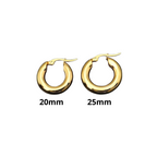 Classic Hoop Earrings